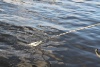 Pictures 045
